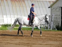 DSCN0277.webp