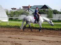 DSCN0285.webp