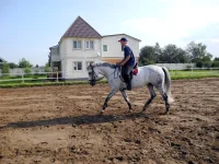 DSCN0296.webp