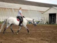DSCN0118.webp