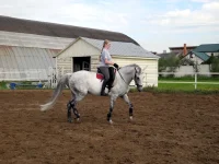 DSCN0127.webp