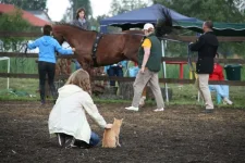 picture 114.webp