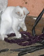 DSCN0257_1m.webp