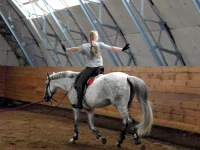 DSCN0209.webp