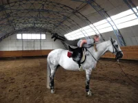 DSCN0192.webp