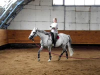 DSCN0217.webp