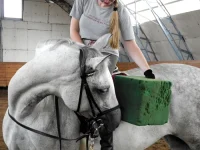 DSCN0248.webp