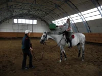 DSCN0245.webp