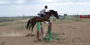 konkur_31.webp