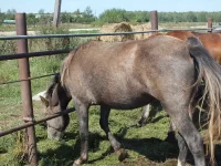DSCF7063.webp