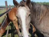 DSCF7064.webp
