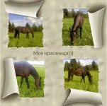 Фото-Красавица..webp