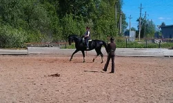 byMarw41irM.webp