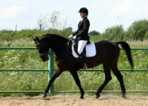 акрон  100612.webp