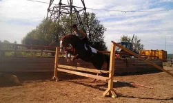 mJ8QaVsk1IU.webp