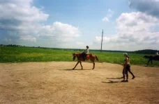 File0245fsa.webp