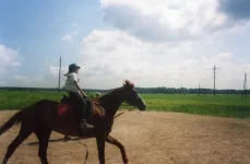 File0247dgfg.webp