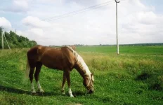 File0248hhj.webp