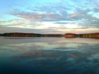 22.webp