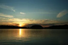 33.webp