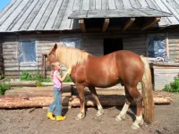 SAM_3709.webp