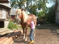 SAM_3711.webp