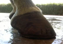 2012-08-28-297.webp