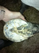 2012-08-29-307.webp