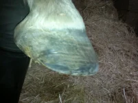 2012-08-29-310.webp