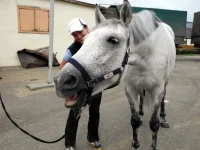 DSCN0455.webp