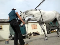 DSCN0462.webp