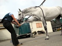 DSCN0464.webp