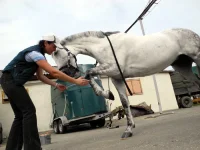 DSCN0465.webp