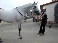 DSCN0471.webp