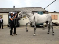 DSCN0467.webp
