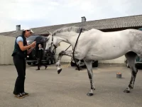 DSCN0469.webp