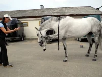 DSCN0470.webp