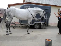DSCN0477.webp