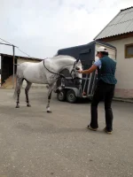DSCN0478.webp