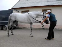 DSCN0479.webp