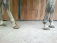 2012-08-30-333.webp