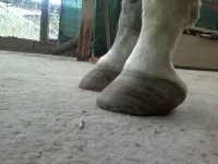 2012-08-30-340.webp