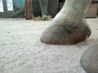 2012-08-30-341.webp