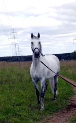 DSCN0009.webp