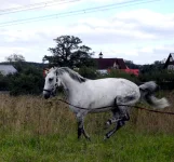 DSCN0025.webp
