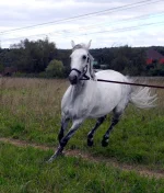 DSCN0027.webp