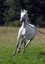 DSCN0040.webp