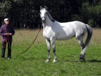 DSCN0043.webp