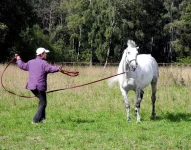 DSCN0042.webp