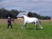 DSCN0052.webp
